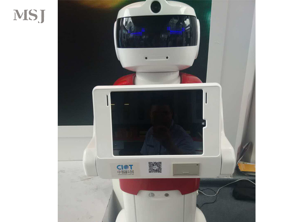 迎宾机器人