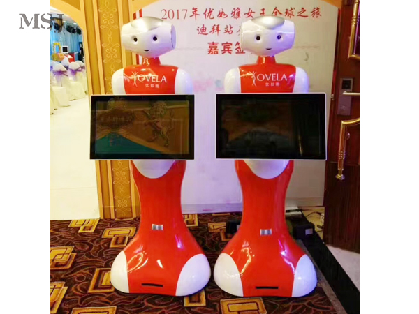迪拜机器人